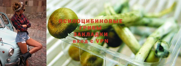 твердый Абинск