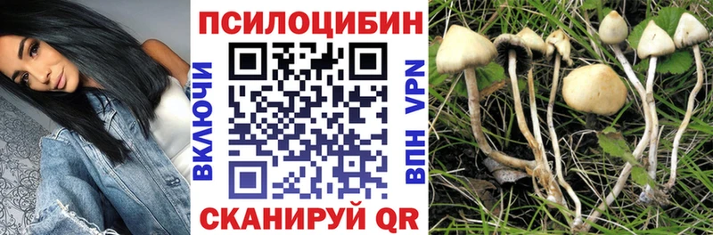 купить  цена  Харабали  Галлюциногенные грибы GOLDEN TEACHER 